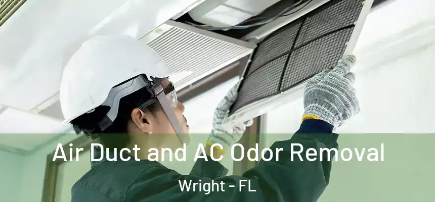 Air Duct and AC Odor Removal Wright - FL