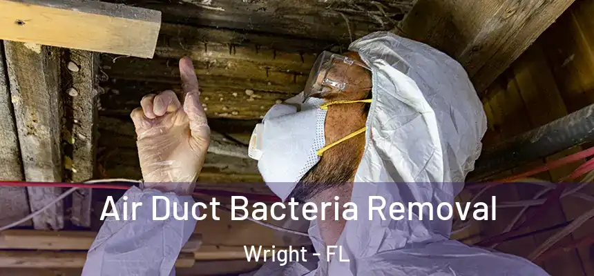  Air Duct Bacteria Removal Wright - FL