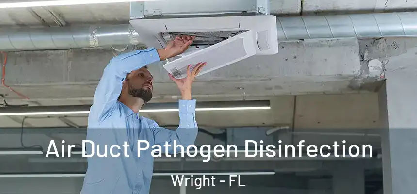 Air Duct Pathogen Disinfection Wright - FL