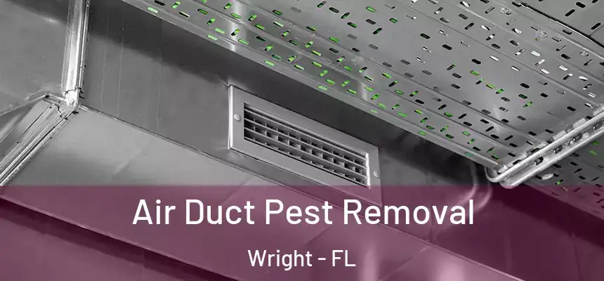 Air Duct Pest Removal Wright - FL