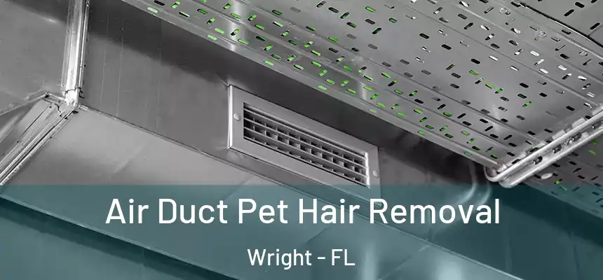 Air Duct Pet Hair Removal Wright - FL