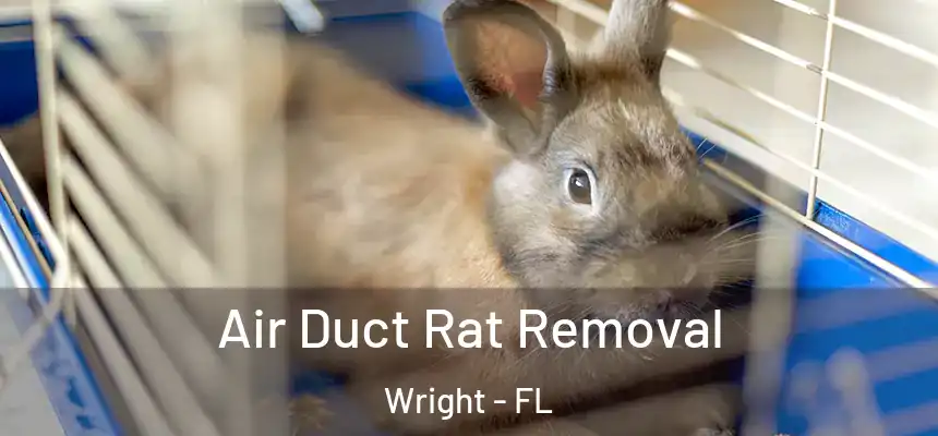  Air Duct Rat Removal Wright - FL