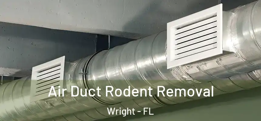 Air Duct Rodent Removal Wright - FL