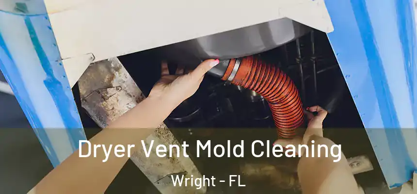 Dryer Vent Mold Cleaning Wright - FL