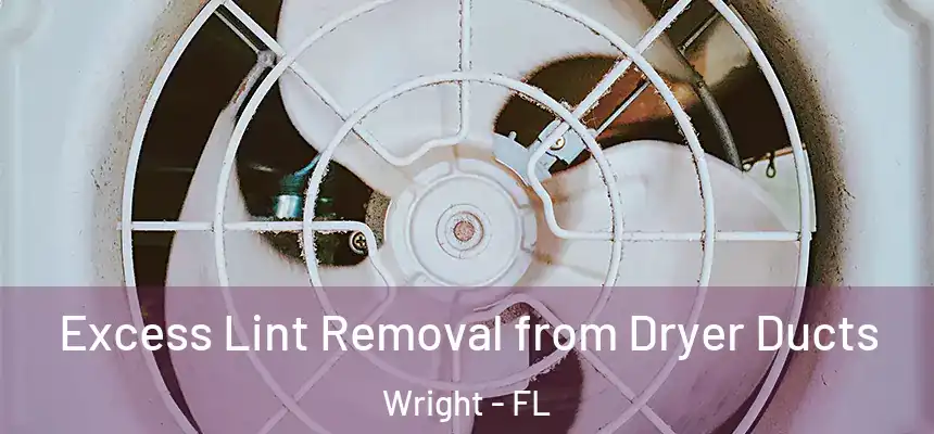 Excess Lint Removal from Dryer Ducts Wright - FL