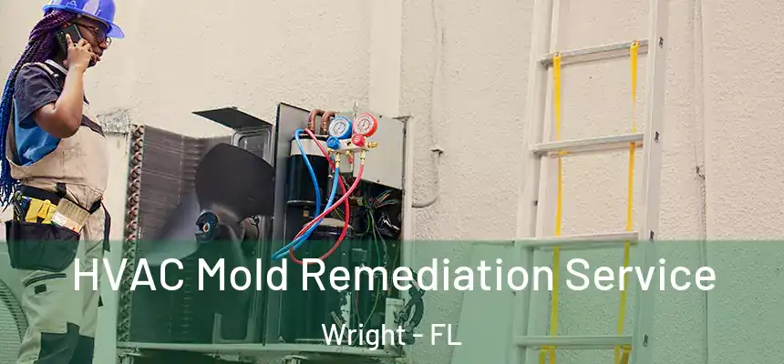 HVAC Mold Remediation Service Wright - FL