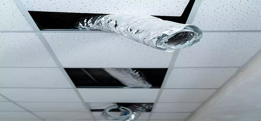 Affordable HVAC Sanitizing After Pest Removal in Wright