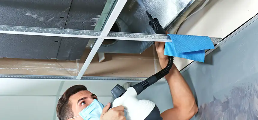 Our Air Duct Rodent Removal Services in Wright, FL