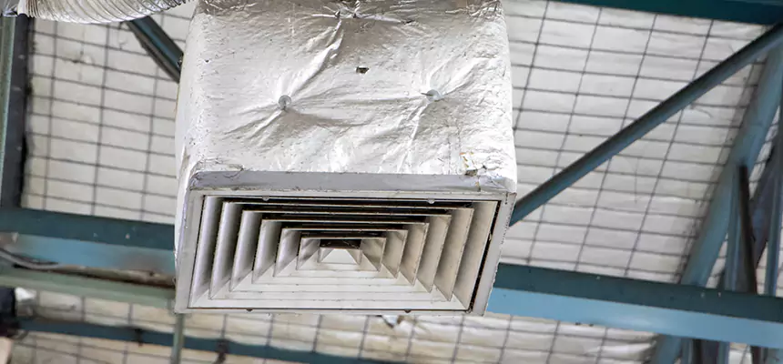 Our HVAC Mold Remediation Service Services in Wright, FL