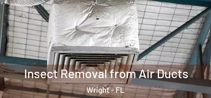 Insect Removal from Air Ducts Wright - FL