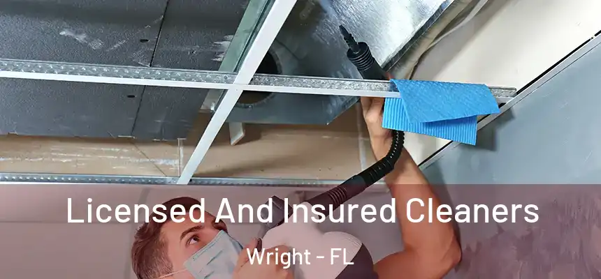 Licensed And Insured Cleaners Wright - FL