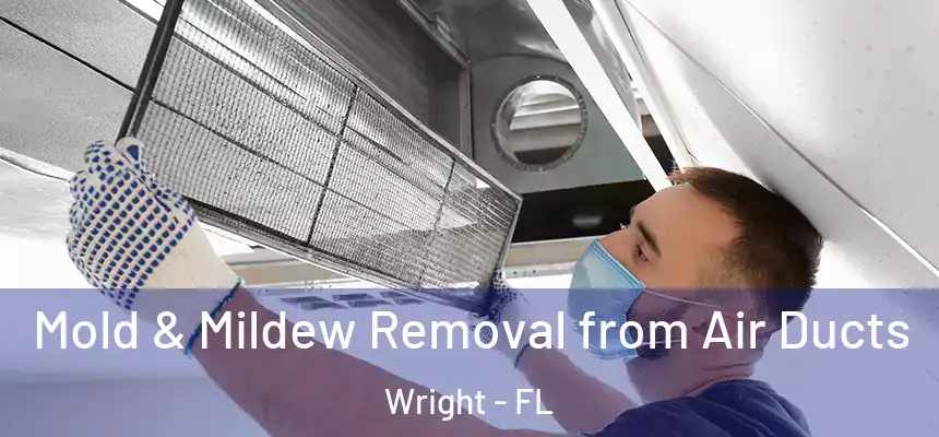 Mold & Mildew Removal from Air Ducts Wright - FL