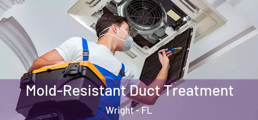 Mold-Resistant Duct Treatment Wright - FL