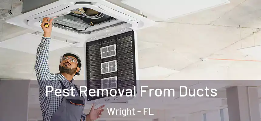 Pest Removal From Ducts Wright - FL