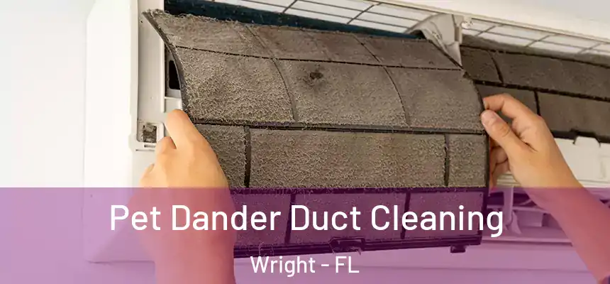 Pet Dander Duct Cleaning Wright - FL