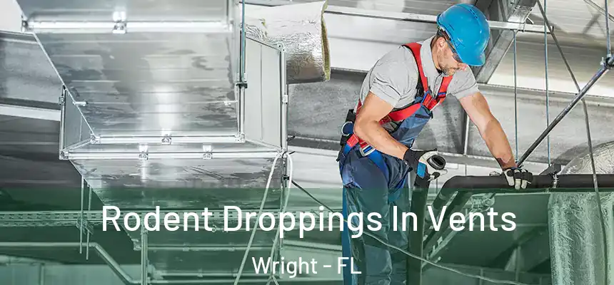 Rodent Droppings In Vents Wright - FL