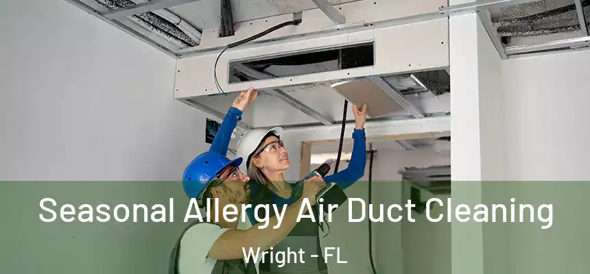 Seasonal Allergy Air Duct Cleaning Wright - FL