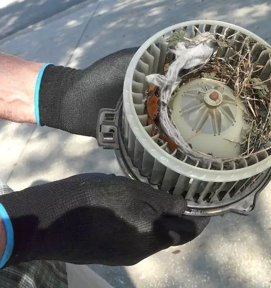 About Air Duct Mice Removal in Wright, FL