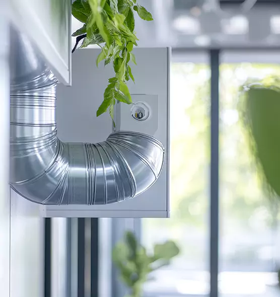 Professional Eco-Safe Dryer Vent Cleaning in Wright, FL