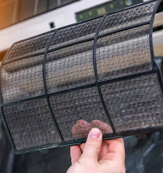 About Pet Dander Duct Cleaning in Wright, FL