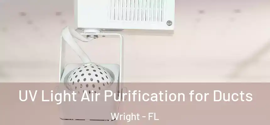 UV Light Air Purification for Ducts Wright - FL